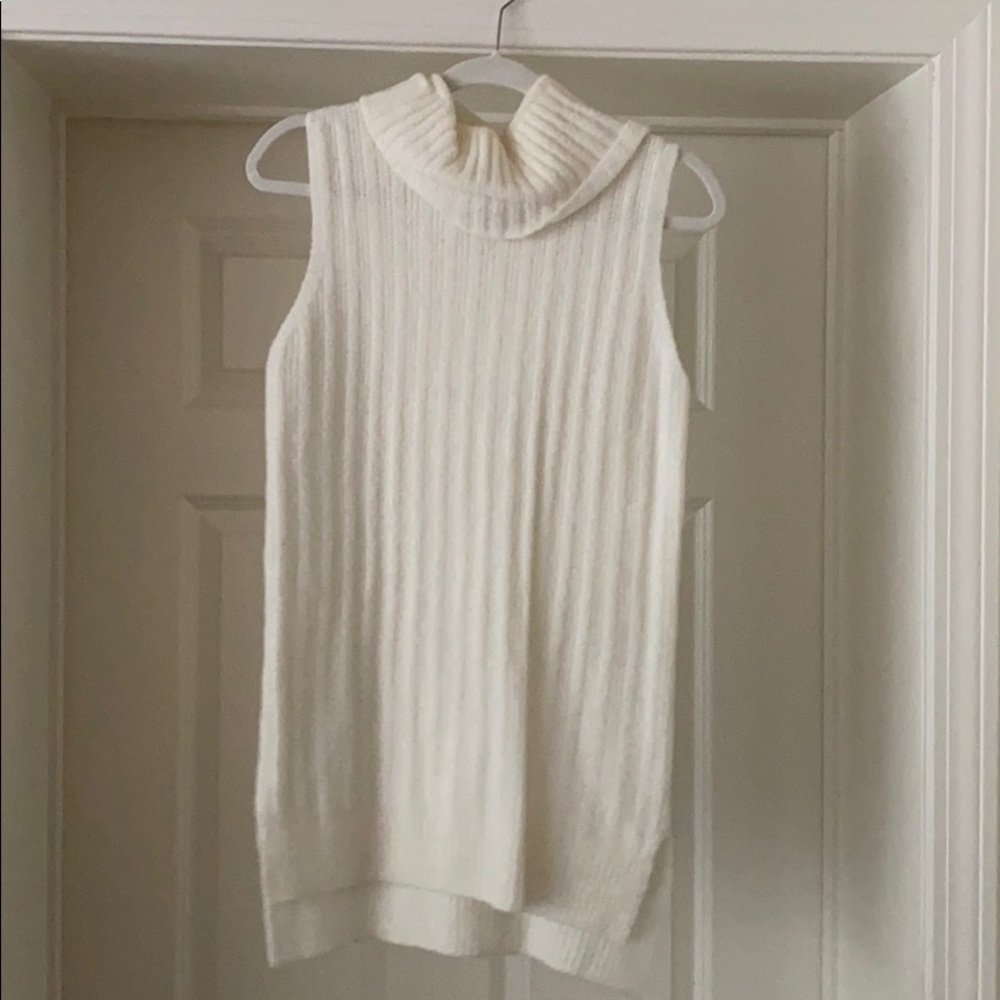 The Limited Turtleneck tunic